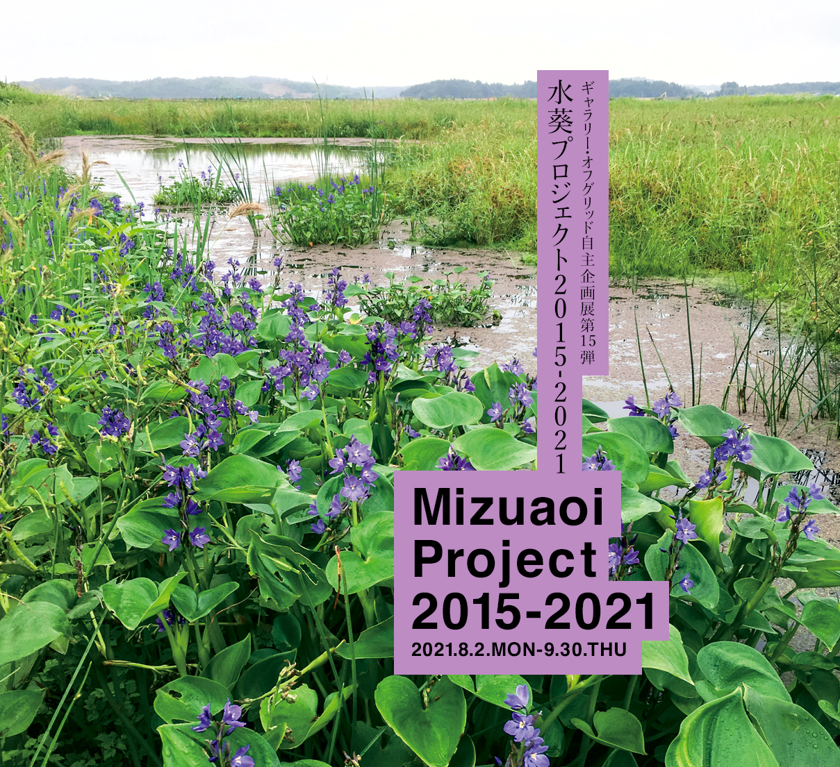 水葵プロジェクト2015-2021